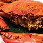 crab meat