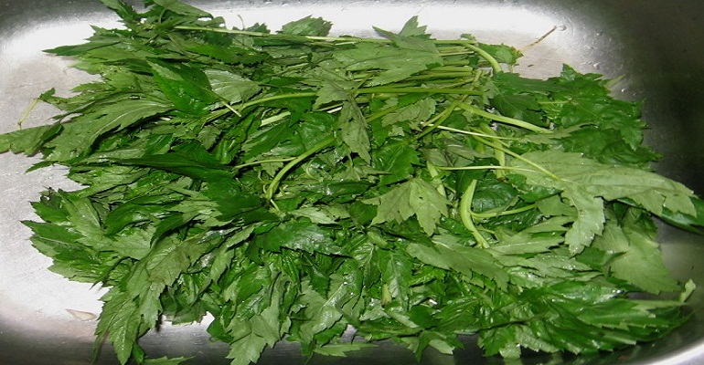 ewedu vegetable
