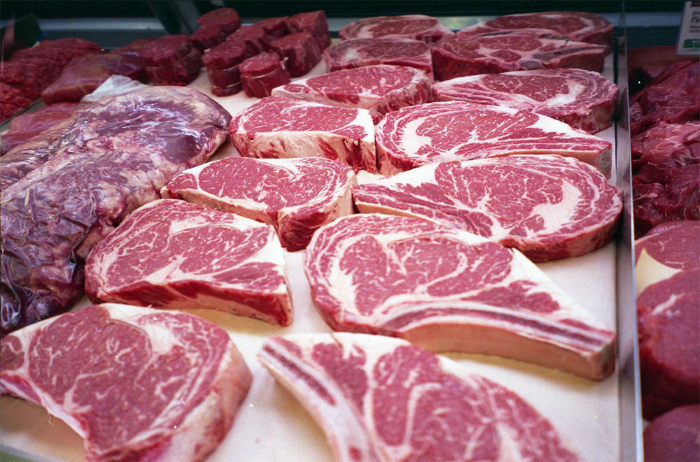 Young Cow Meat Is Called All About Cow Photos