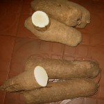cut yam storage
