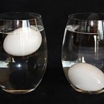 float test for to test egg freshness