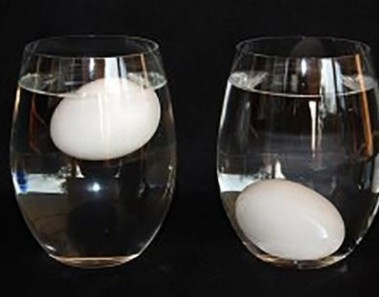 float test for to test egg freshness