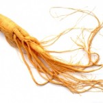 ginseng