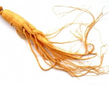 ginseng