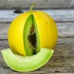 golden melon