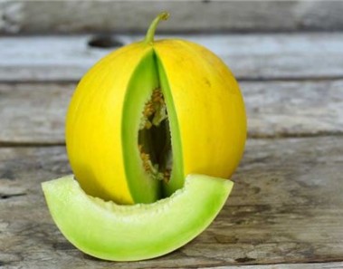golden melon