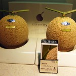 most expensive japan melons