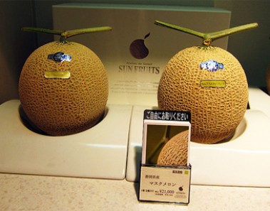 most expensive japan melons