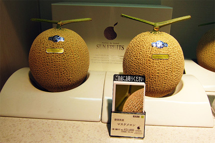 most expensive japan melons