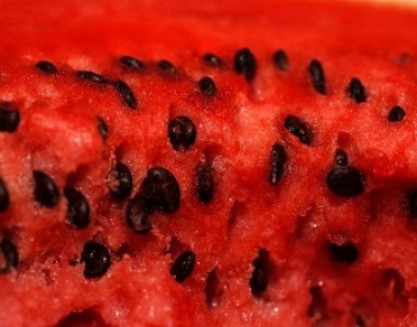Watermelon Seeds