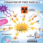 Free radical and antioxidants