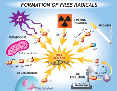 Free radical and antioxidants