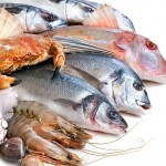 fresh seafoods