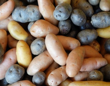 Sweet and Irish Potatoes