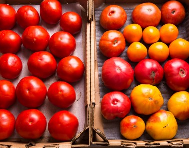 storing tomatoes right