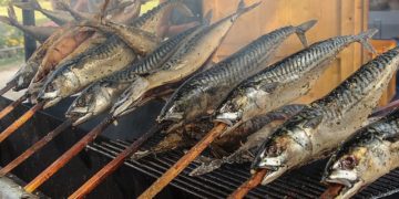 smoked fish dangerous to human health